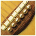 Шпильки для гитары, набор D’ANDREA Dot TP4T