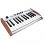 MIDI-клавиатура / Синтезатор ARTURIA THE PLAYER / Analog Experience 25
