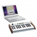 MIDI-клавиатура / Синтезатор ARTURIA THE PLAYER / Analog Experience 25