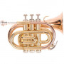 Труба ODYSSEY PREMIERE OCR100P 'Bb', «карманная труба»