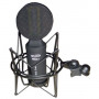 Микрофон инструментальный Prodipe RIBBON 1