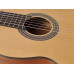 Классическая гитара Salvador Cortez CS-244