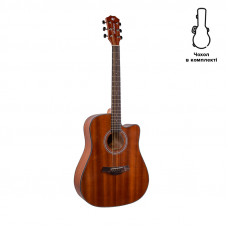 Акустична гітара Alfabeto SAPELE WS41 ST + чохол