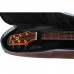 Чохол для акустичної гітари Alfabeto WesternBag44