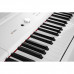 Цифрове піаніно Artesia Performer (White)