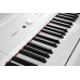 Цифрове піаніно Artesia PA88H (White)