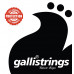 Струни для акустичної гітари Gallistrings GFS 12-56 MEDIUM LIGHT