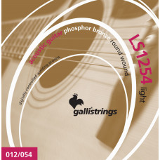Струни для акустичної гітари Gallistrings LS1254 LIGHT