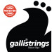 Струни для класичної гітари Gallistrings MS 100 HARD TNS