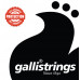 Струни для акустичної гітари Gallistrings RA1152 LIGHT SPECIAL